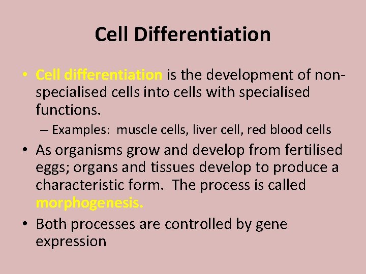 Cell Differentiation • Cell differentiation is the development of nonspecialised cells into cells with