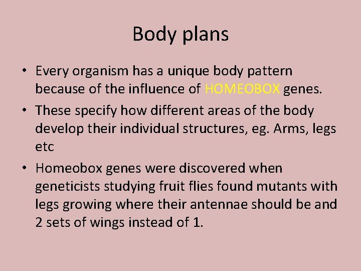 Body plans • Every organism has a unique body pattern because of the influence