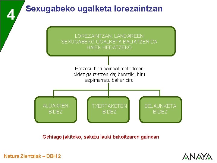 4 Sexugabeko ugalketa lorezaintzan LOREZAINTZAN, LANDAREEN SEXUGABEKO UGALKETA BALIATZEN DA HAIEK HEDATZEKO Prozesu hori