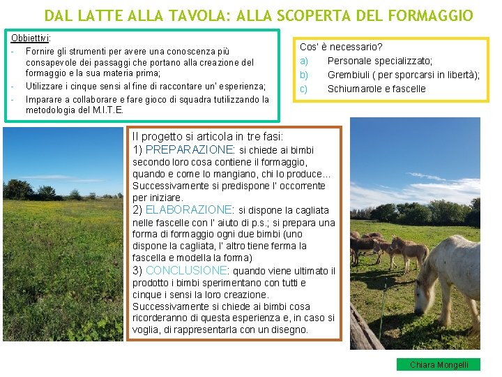 DAL LATTE ALLA TAVOLA: ALLA SCOPERTA DEL FORMAGGIO Obbiettivi: - Fornire gli strumenti per