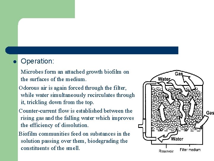 l Operation: Microbes form an attached growth biofilm on the surfaces of the medium.