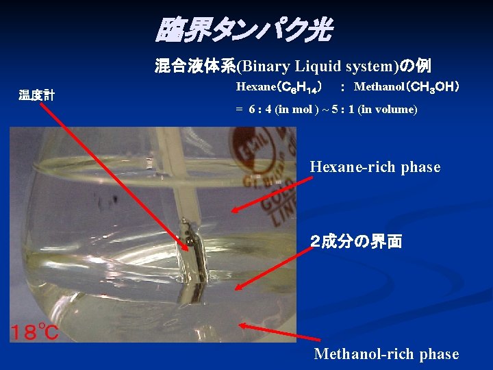 臨界タンパク光 混合液体系(Binary Liquid system)の例 温度計 Hexane（Ｃ６Ｈ１４）　　：　Methanol（ＣＨ３ＯＨ） = 6 : 4 (in mol ) ~