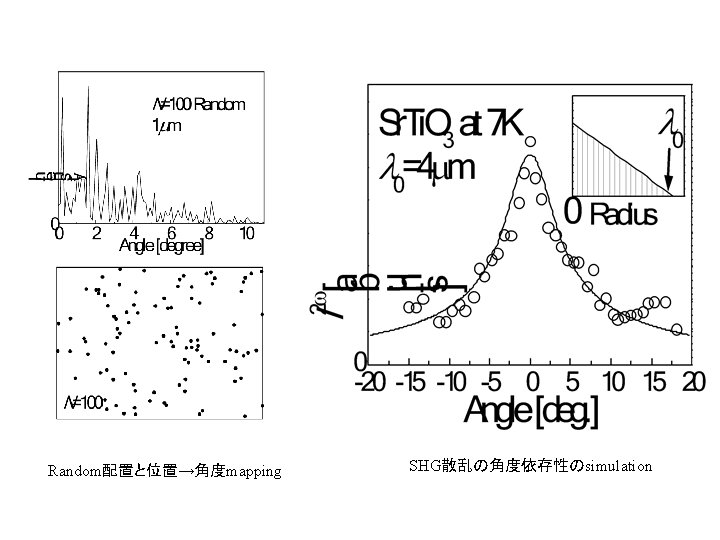 Random配置と位置→角度mapping SHG散乱の角度依存性のsimulation 