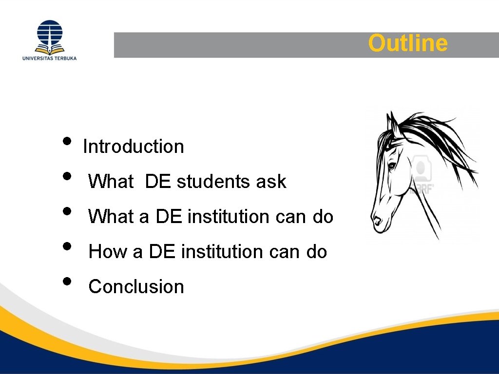 Outline • • • Introduction What DE students ask What a DE institution can