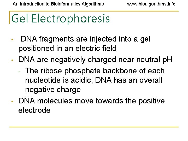 An Introduction to Bioinformatics Algorithms www. bioalgorithms. info Gel Electrophoresis • • • DNA An Introduction to Bioinformatics Algorithms www. bioalgorithms. info Gel Electrophoresis • • • DNA
