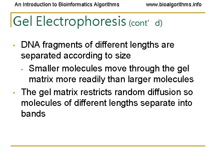 An Introduction to Bioinformatics Algorithms www. bioalgorithms. info Gel Electrophoresis (cont’d) • • DNA An Introduction to Bioinformatics Algorithms www. bioalgorithms. info Gel Electrophoresis (cont’d) • • DNA