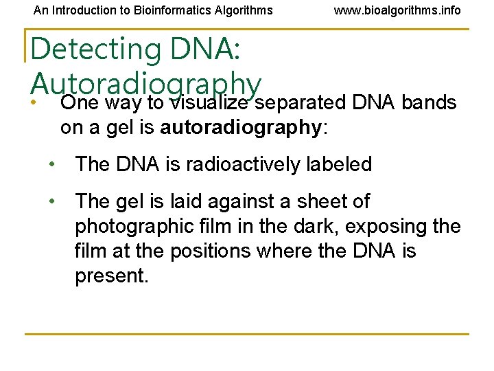 An Introduction to Bioinformatics Algorithms www. bioalgorithms. info Detecting DNA: Autoradiography • One way An Introduction to Bioinformatics Algorithms www. bioalgorithms. info Detecting DNA: Autoradiography • One way