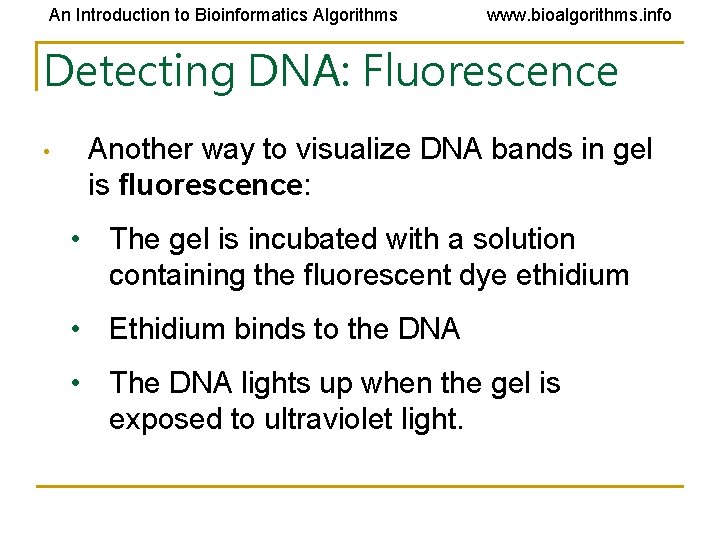 An Introduction to Bioinformatics Algorithms www. bioalgorithms. info Detecting DNA: Fluorescence • Another way An Introduction to Bioinformatics Algorithms www. bioalgorithms. info Detecting DNA: Fluorescence • Another way