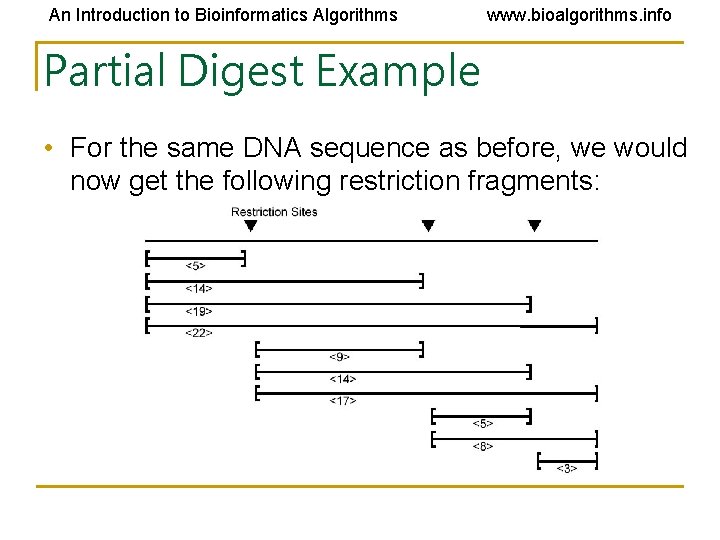An Introduction to Bioinformatics Algorithms www. bioalgorithms. info Partial Digest Example • For the An Introduction to Bioinformatics Algorithms www. bioalgorithms. info Partial Digest Example • For the