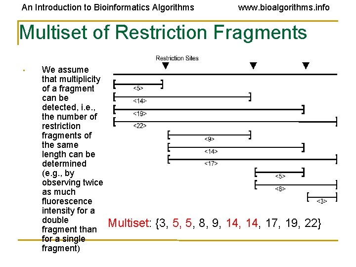 An Introduction to Bioinformatics Algorithms www. bioalgorithms. info Multiset of Restriction Fragments • We An Introduction to Bioinformatics Algorithms www. bioalgorithms. info Multiset of Restriction Fragments • We