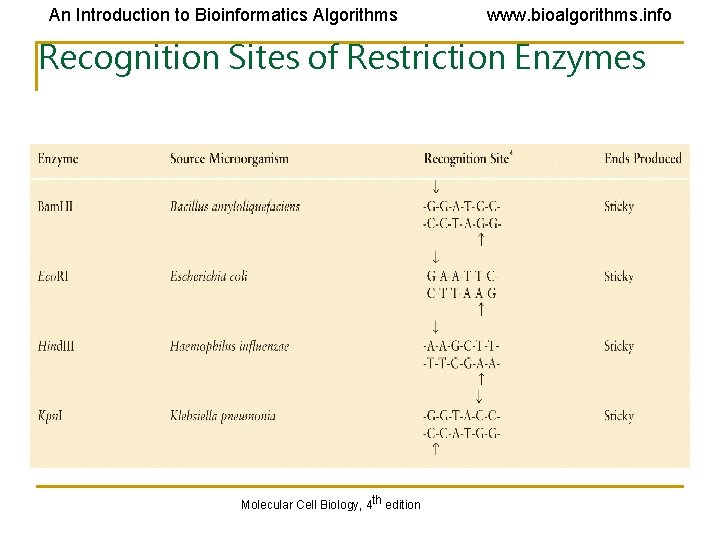 An Introduction to Bioinformatics Algorithms www. bioalgorithms. info Recognition Sites of Restriction Enzymes Molecular An Introduction to Bioinformatics Algorithms www. bioalgorithms. info Recognition Sites of Restriction Enzymes Molecular