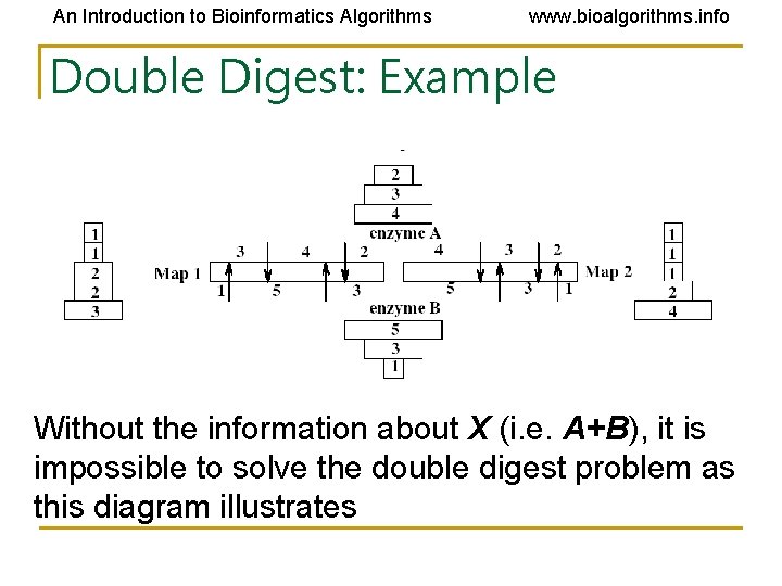 An Introduction to Bioinformatics Algorithms www. bioalgorithms. info Double Digest: Example Without the information An Introduction to Bioinformatics Algorithms www. bioalgorithms. info Double Digest: Example Without the information