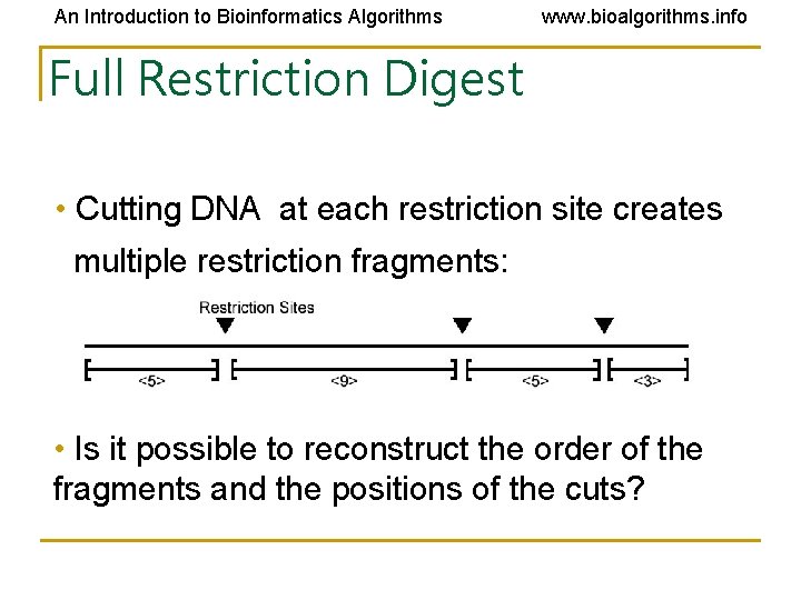 An Introduction to Bioinformatics Algorithms www. bioalgorithms. info Full Restriction Digest • Cutting DNA An Introduction to Bioinformatics Algorithms www. bioalgorithms. info Full Restriction Digest • Cutting DNA