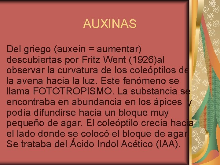 AUXINAS Del griego (auxein = aumentar) descubiertas por Fritz Went (1926)al observar la curvatura