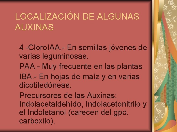 LOCALIZACIÓN DE ALGUNAS AUXINAS 4 -Cloro. IAA. - En semillas jóvenes de varias leguminosas.
