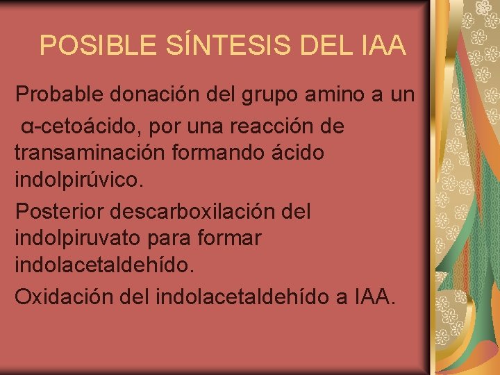 POSIBLE SÍNTESIS DEL IAA Probable donación del grupo amino a un α-cetoácido, por una