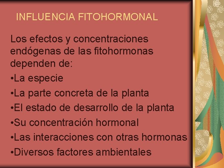 INFLUENCIA FITOHORMONAL Los efectos y concentraciones endógenas de las fitohormonas dependen de: • La