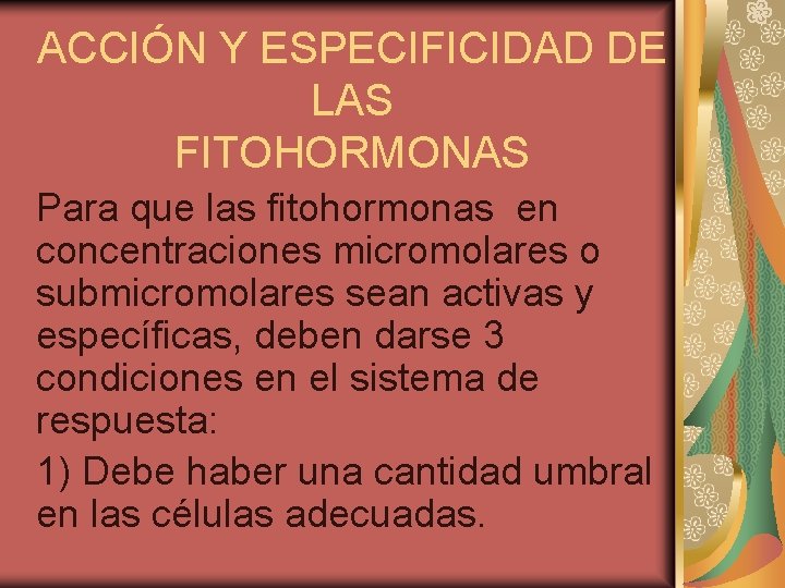 ACCIÓN Y ESPECIFICIDAD DE LAS FITOHORMONAS Para que las fitohormonas en concentraciones micromolares o