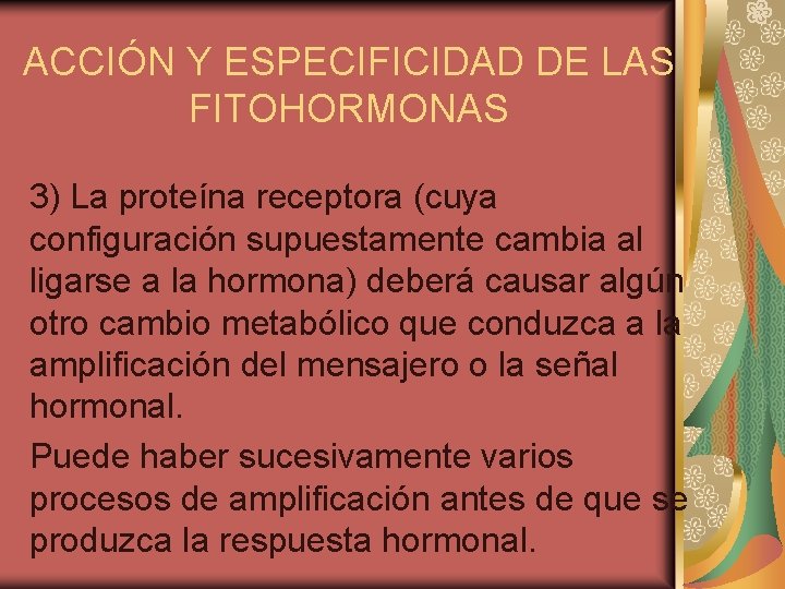 ACCIÓN Y ESPECIFICIDAD DE LAS FITOHORMONAS 3) La proteína receptora (cuya configuración supuestamente cambia
