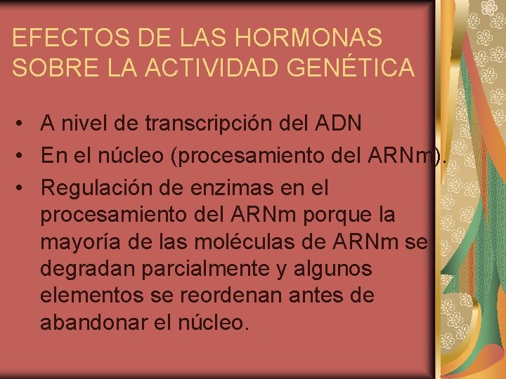 EFECTOS DE LAS HORMONAS SOBRE LA ACTIVIDAD GENÉTICA • A nivel de transcripción del