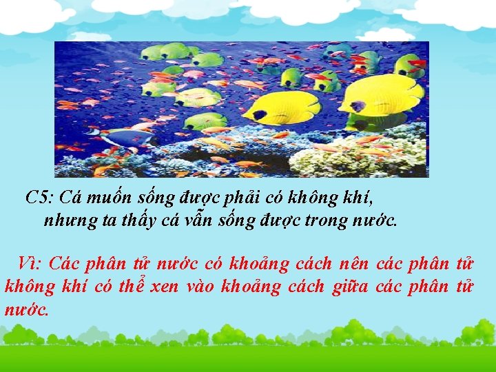 C 5: Cá muốn sống được phải có không khí, nhưng ta thấy cá