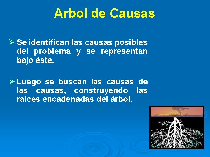 Arbol de Causas Ø Se identifican las causas posibles del problema y se representan