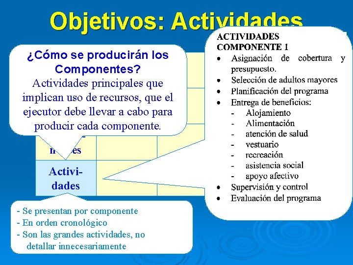 Objetivos: Actividades ¿Cómo se producirán los Componentes? Fin Actividades principales que implican uso de