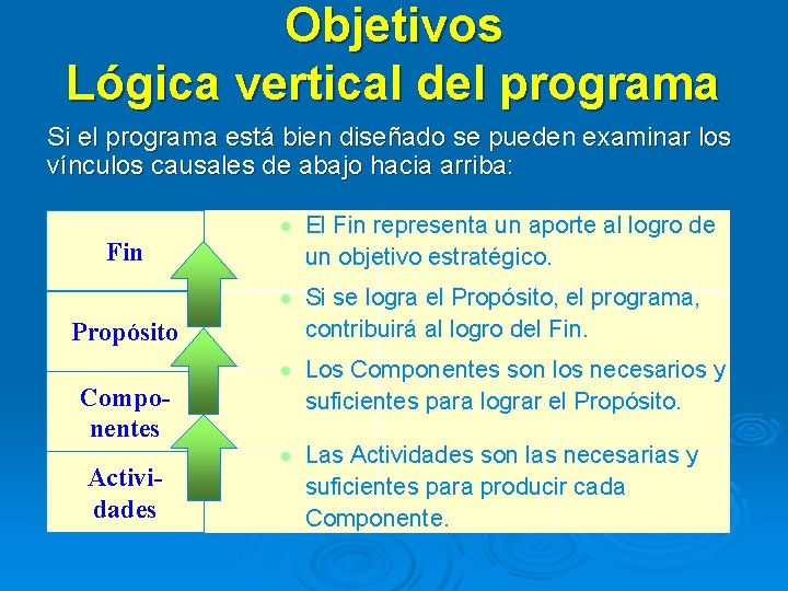 Objetivos Lógica vertical del programa Si el programa está bien diseñado se pueden examinar