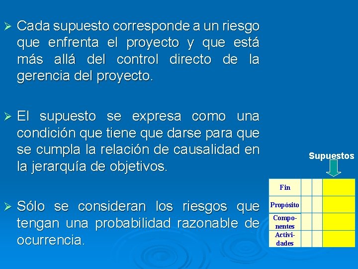 Ø Cada supuesto corresponde a un riesgo que enfrenta el proyecto y que está