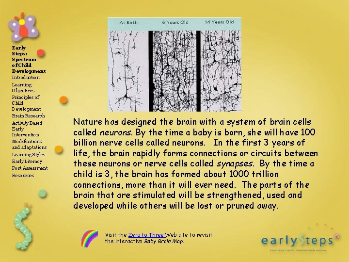 Early Steps: Spectrum of Child Development Introduction Learning Objectives Principles of Child Development Brain