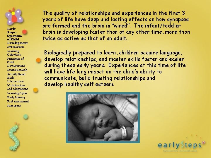 Early Steps: Spectrum of Child Development Introduction Learning Objectives Principles of Child Development Brain