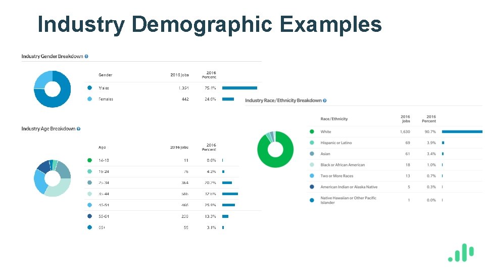 Industry Demographic Examples 