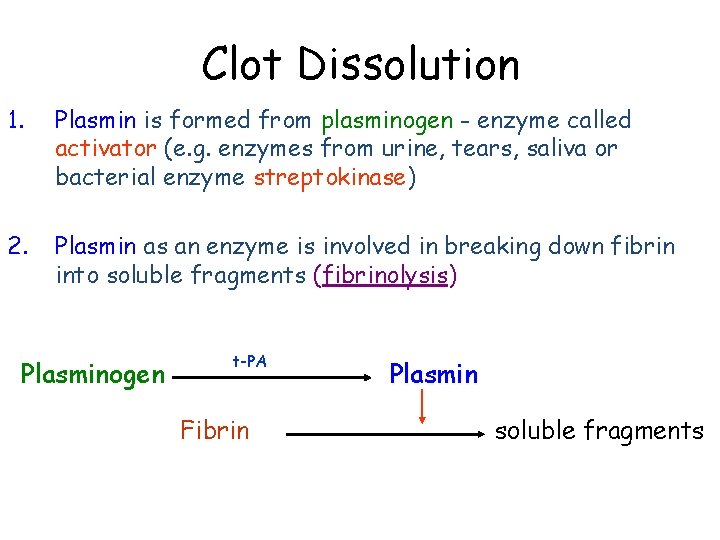 Clot Dissolution 1. Plasmin is formed from plasminogen - enzyme called activator (e. g. Clot Dissolution 1. Plasmin is formed from plasminogen - enzyme called activator (e. g.