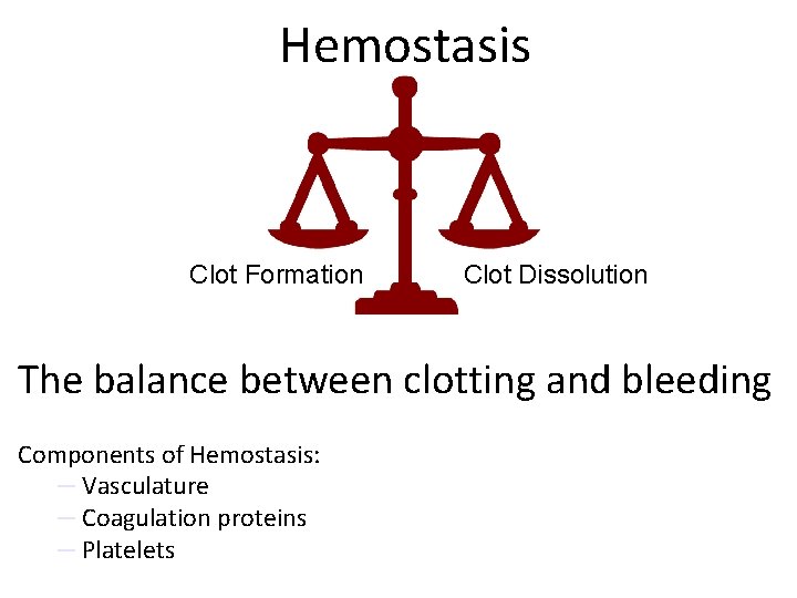 Hemostasis Clot Formation Clot Dissolution The balance between clotting and bleeding Components of Hemostasis: