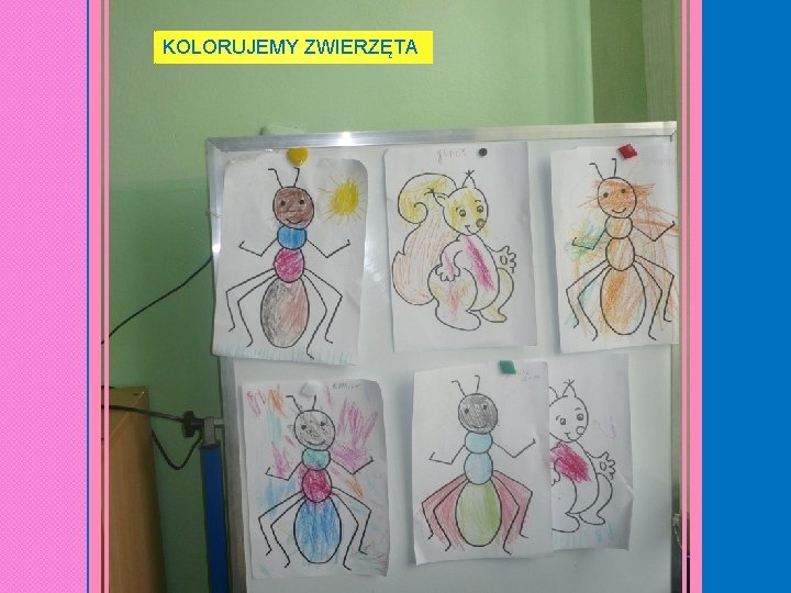 KOLORUJEMY ZWIERZĘTA 