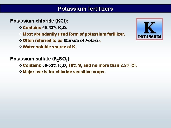 Potassium fertilizers Potassium chloride (KCl): v. Contains 60 -63% K 2 O. v. Most