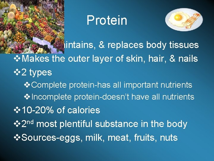 Protein v. Builds, maintains, & replaces body tissues v. Makes the outer layer of