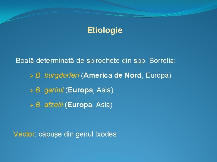 Etiologie Boală determinată de spirochete din spp. Borrelia: Ø B. burgdorferi (America de Nord,
