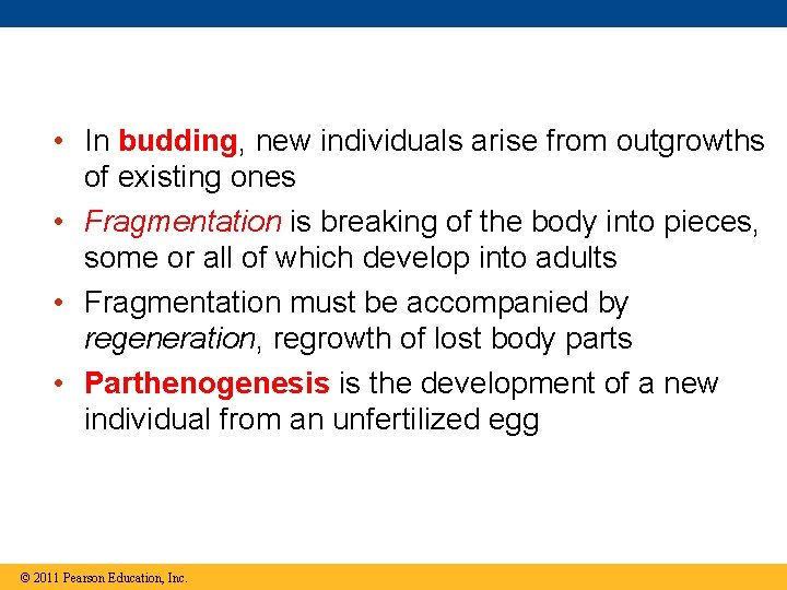  • In budding, new individuals arise from outgrowths of existing ones • Fragmentation