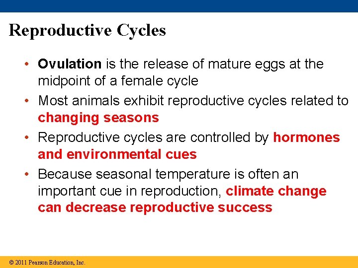 Reproductive Cycles • Ovulation is the release of mature eggs at the midpoint of