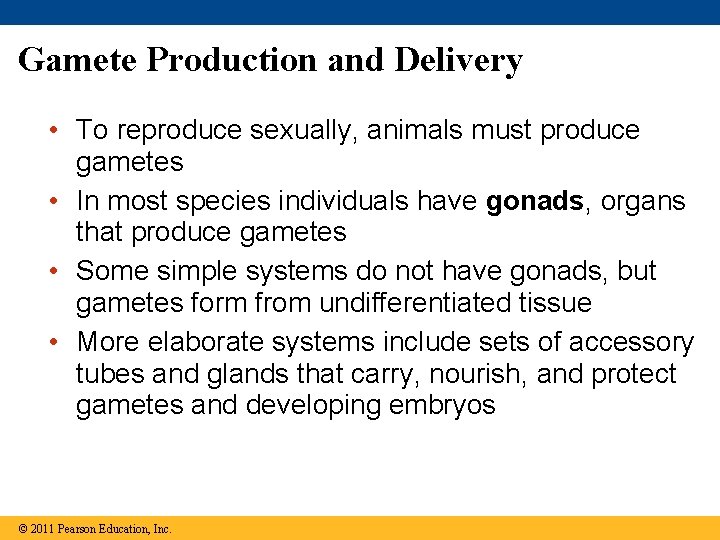 Gamete Production and Delivery • To reproduce sexually, animals must produce gametes • In