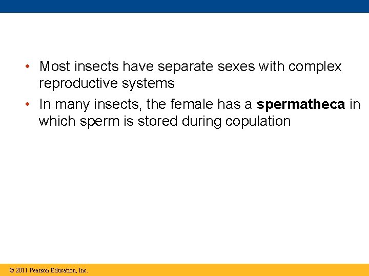  • Most insects have separate sexes with complex reproductive systems • In many