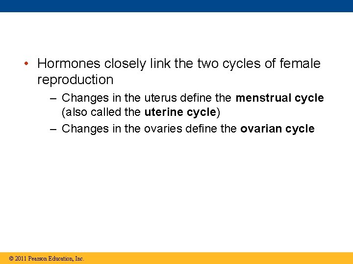  • Hormones closely link the two cycles of female reproduction – Changes in
