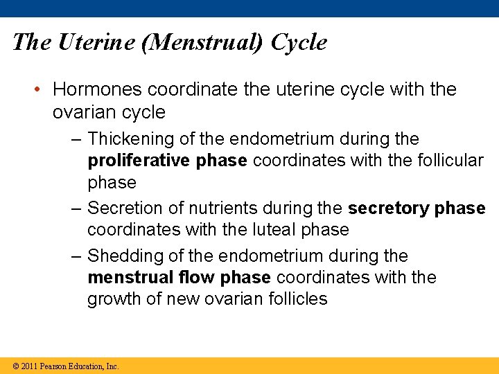 The Uterine (Menstrual) Cycle • Hormones coordinate the uterine cycle with the ovarian cycle