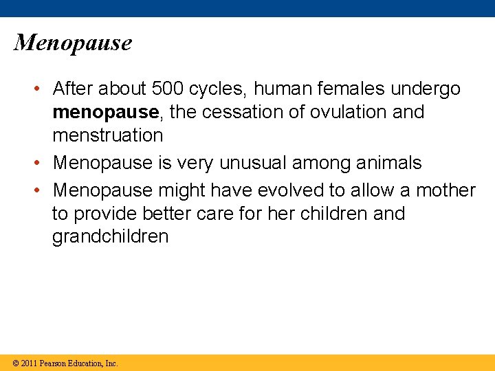 Menopause • After about 500 cycles, human females undergo menopause, the cessation of ovulation