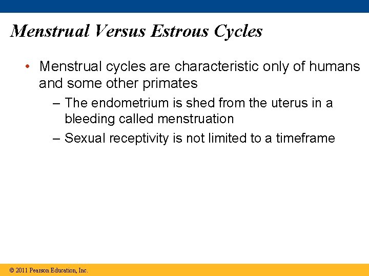 Menstrual Versus Estrous Cycles • Menstrual cycles are characteristic only of humans and some