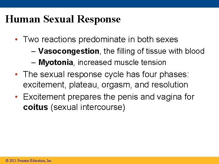 Human Sexual Response • Two reactions predominate in both sexes – Vasocongestion, the filling