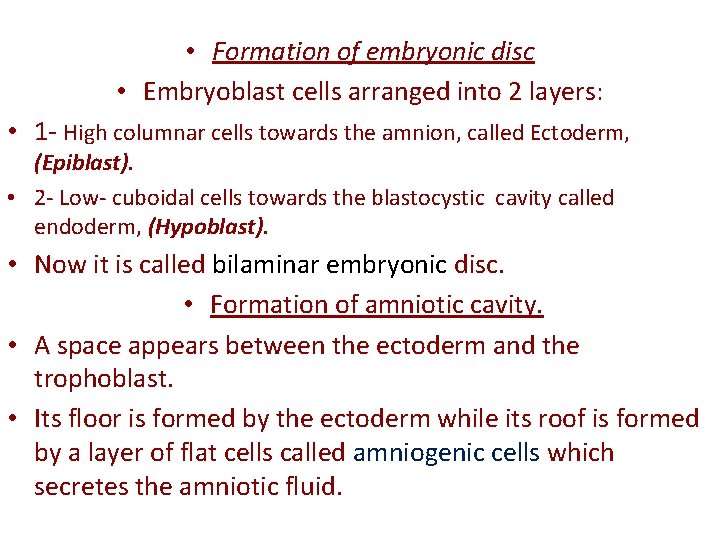  • Formation of embryonic disc • Embryoblast cells arranged into 2 layers: •