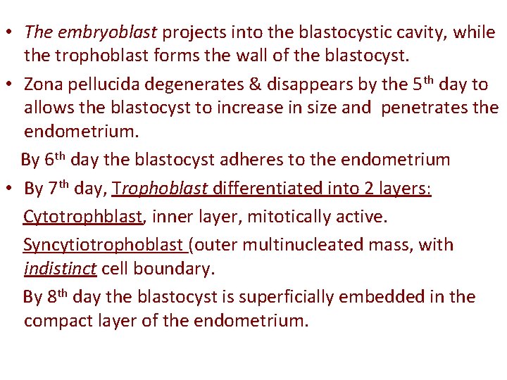  • The embryoblast projects into the blastocystic cavity, while the trophoblast forms the