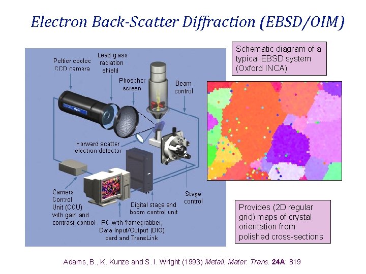 Electron Back-Scatter Diffraction (EBSD/OIM) Schematic diagram of a typical EBSD system (Oxford INCA) Provides